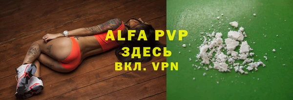 спайс Арсеньев