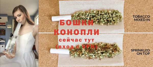 спайс Арсеньев