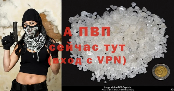 твердый Тобольск